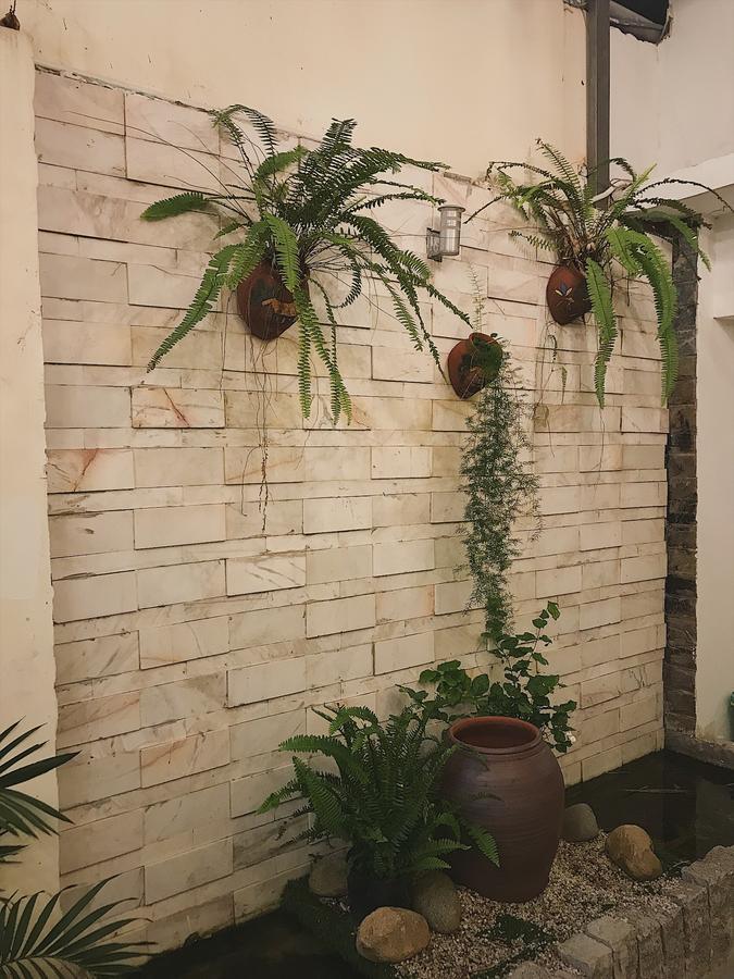 Toto Hostel Đà Nẵng Extérieur photo