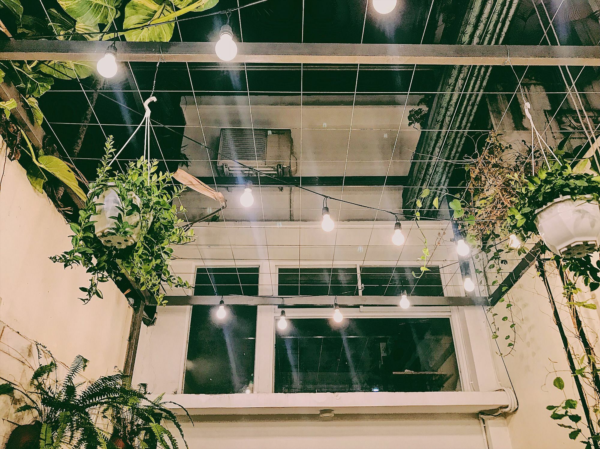 Toto Hostel Đà Nẵng Extérieur photo